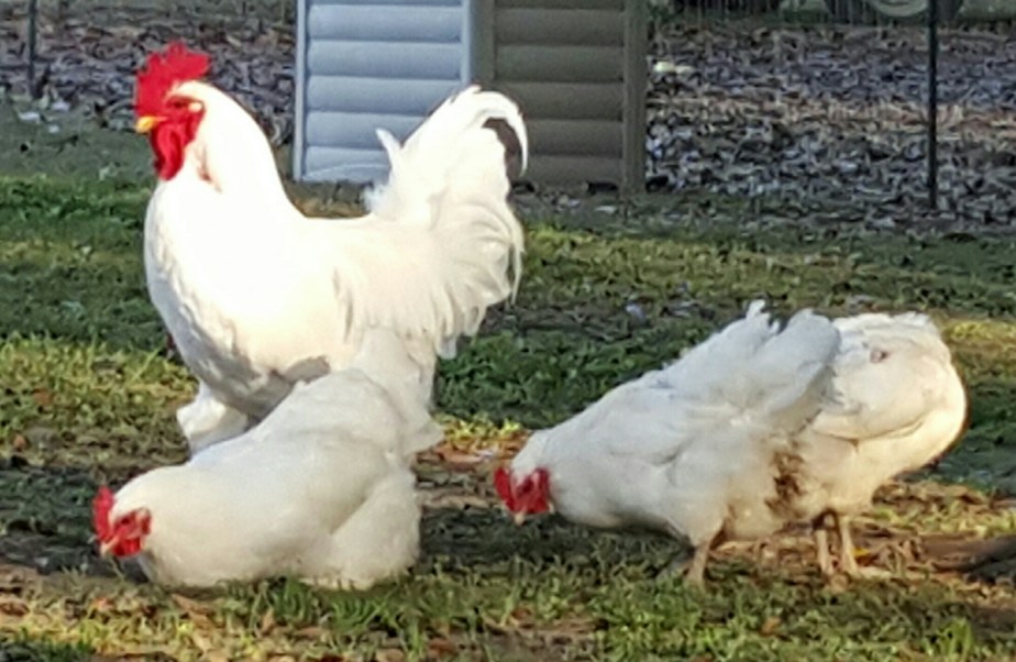 The Friday That Got Away From&nbsp;Me